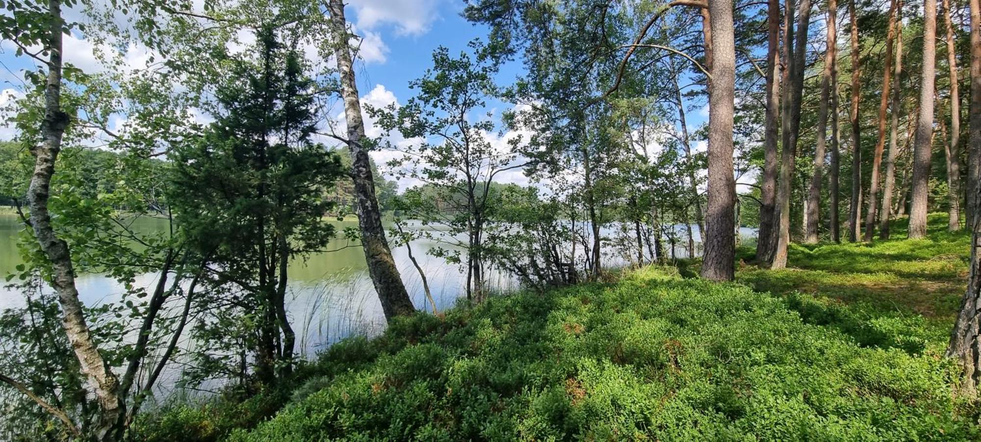 Villa Osrodek Wypoczynkowy Soszko Swornegacie Esterno foto