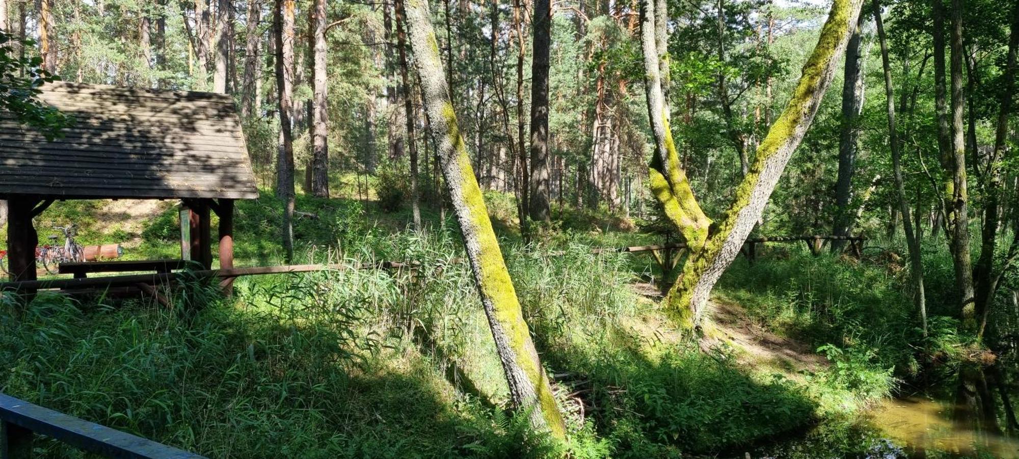 Villa Osrodek Wypoczynkowy Soszko Swornegacie Esterno foto