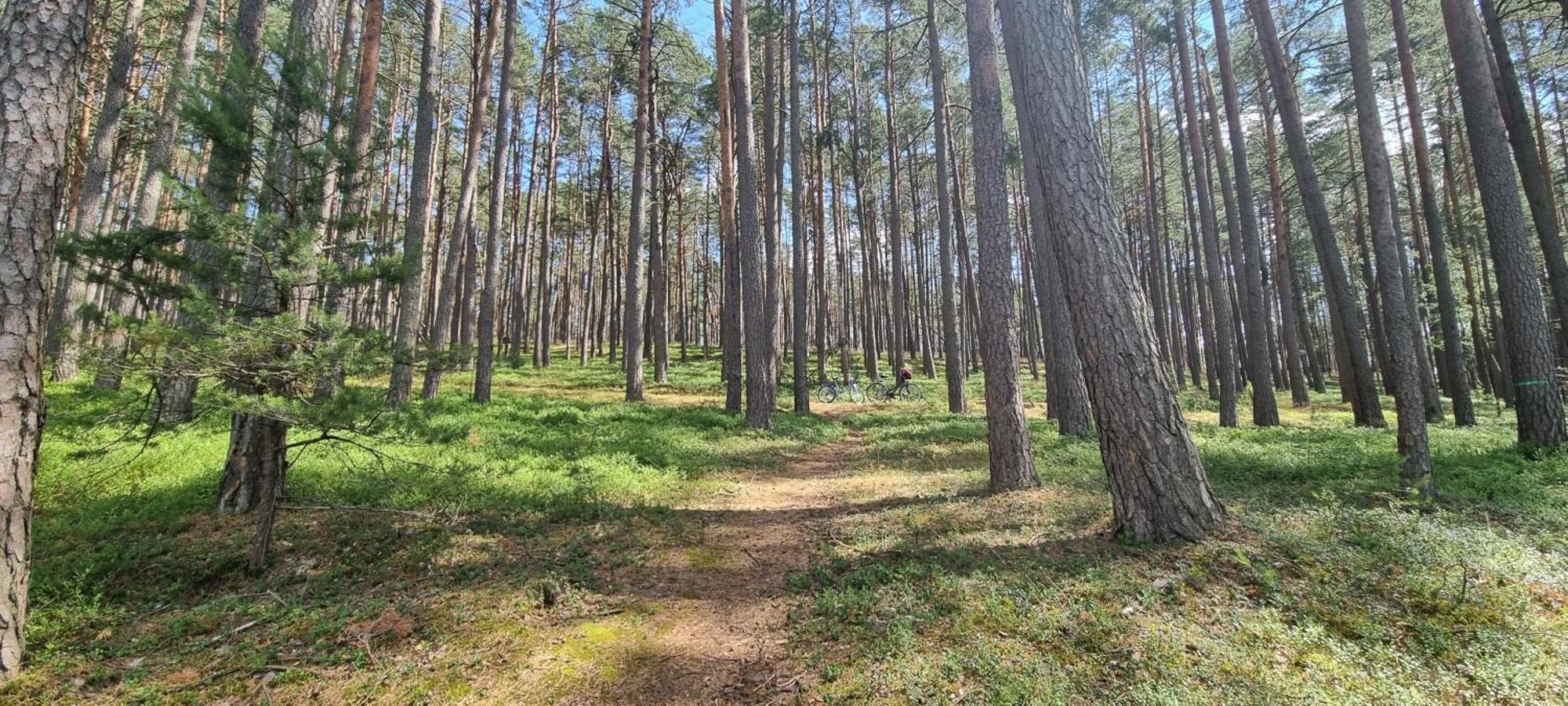Villa Osrodek Wypoczynkowy Soszko Swornegacie Esterno foto